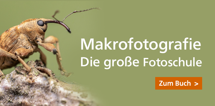 Makrofotografie
