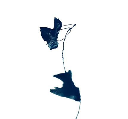 Der eigene fotografische Weg