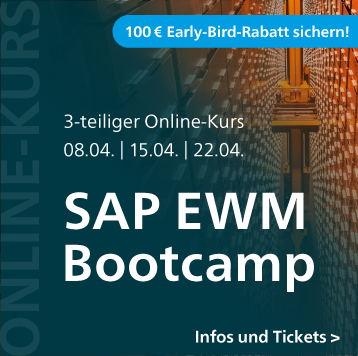  SAP EWM Bootcamp  mit Björn Borna Online 3 Kurse