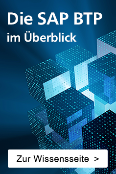 Die SAP BTP im Überblick. Zur Wissensseite