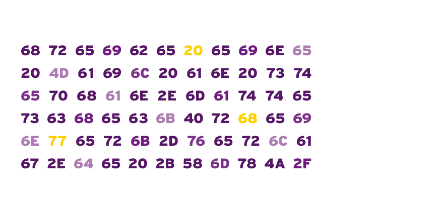 Das Standardwerk in neuer Auflage!