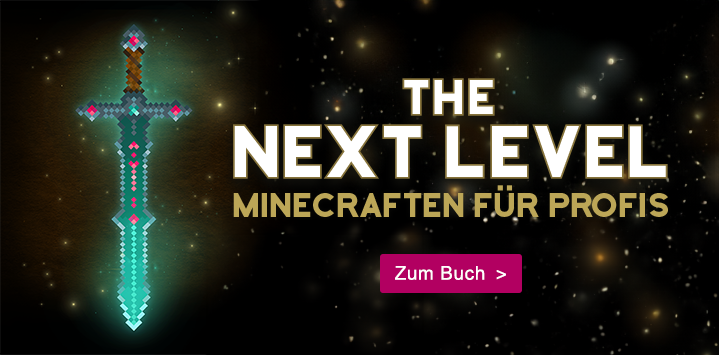 The Next Level | Minecraft für Profis 