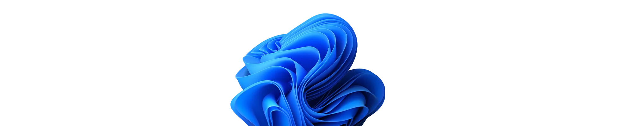 Die besten Bücher für den Einstieg und Umstieg