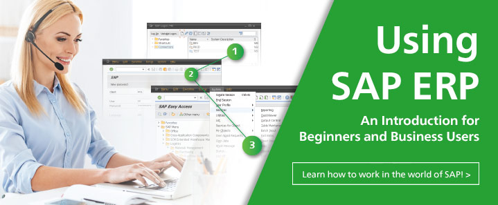 sap fico basics for beginners pdf