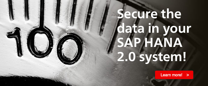 SAP HANA 2.0 Security