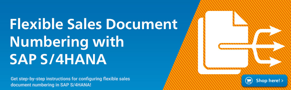 Flexible Sales Document Numbering