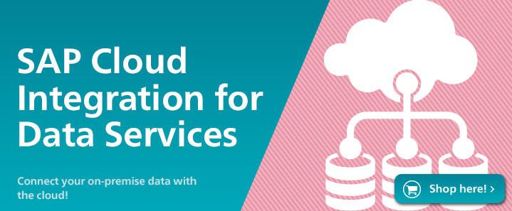 SAP Cloud Integration for Data Services