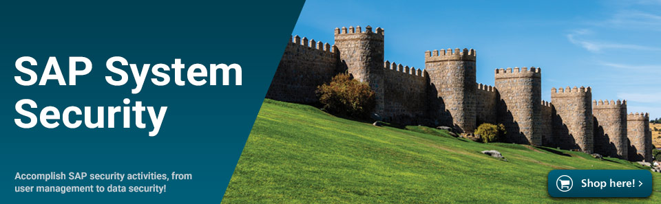 SAP System Security