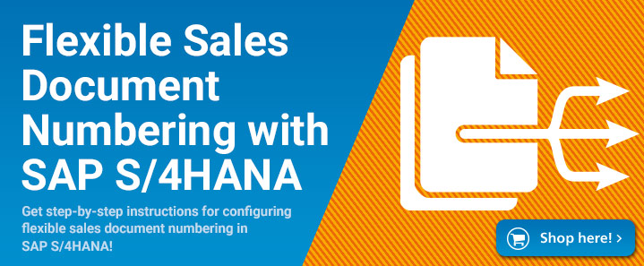 Flexible Sales Document Numbering