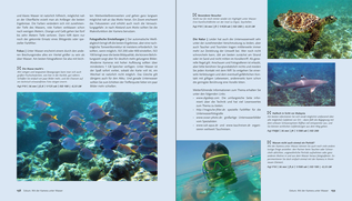 Bildunterschrift (optional)