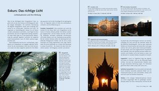 Bildunterschrift (optional)