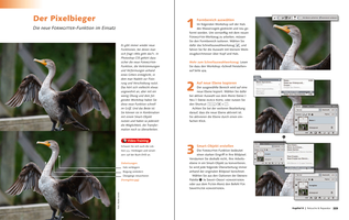 Bildunterschrift (optional)