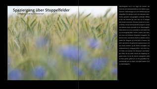 Bildunterschrift (optional)