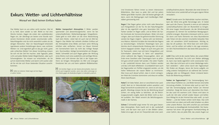Bildunterschrift (optional)