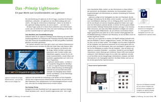 Bildunterschrift (optional)