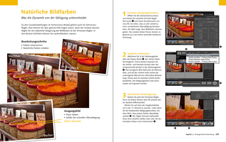 Bildunterschrift (optional)