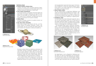 Bildunterschrift (optional)