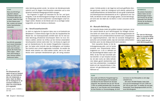 Bildunterschrift (optional)