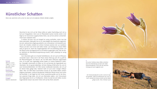 Bildunterschrift (optional)