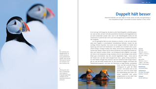 Bildunterschrift (optional)