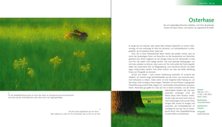 Bildunterschrift (optional)