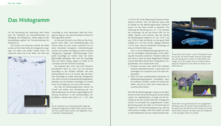 Bildunterschrift (optional)