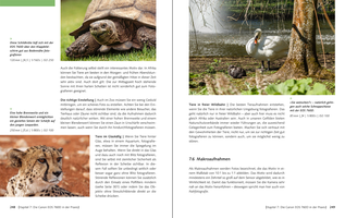 Bildunterschrift (optional)