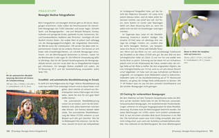 Bildunterschrift (optional)