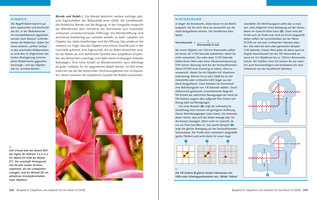Bildunterschrift (optional)
