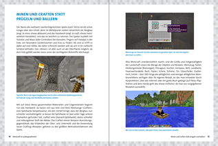 Bildunterschrift (optional)