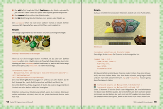 Bildunterschrift (optional)