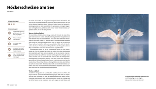 Bildunterschrift (optional)