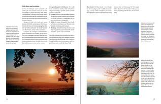 Bildunterschrift (optional)