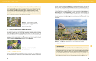 Bildunterschrift (optional)