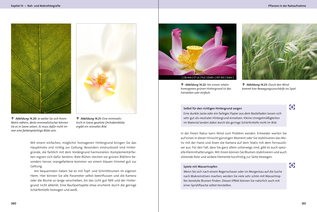 Bildunterschrift (optional)