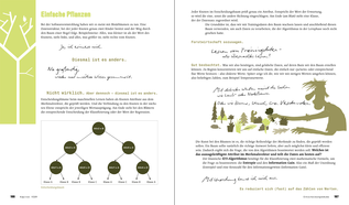 Bildunterschrift (optional)