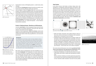 Bildunterschrift (optional)