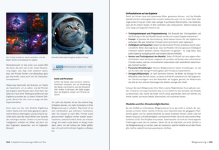 Bildunterschrift (optional)