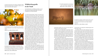 Ausschnitt aus dem Inhalt