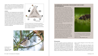 Ausschnitt aus dem Inhalt