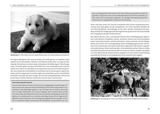 Bildunterschrift (optional)