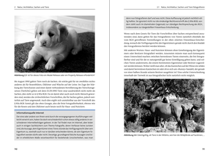 Bildunterschrift (optional)