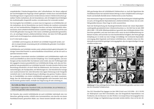 Bildunterschrift (optional)