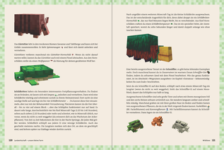 Bildunterschrift (optional)