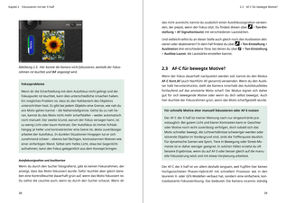 Bildunterschrift (optional)