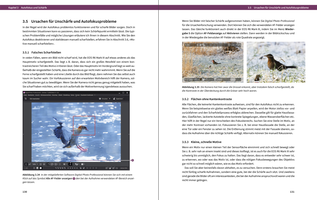 Ausschnitt aus dem Inhalt