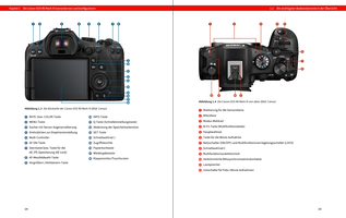 Ausschnitt aus dem Inhalt