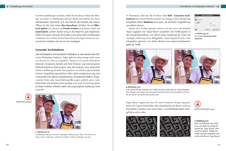 Ausschnitt aus dem Inhalt