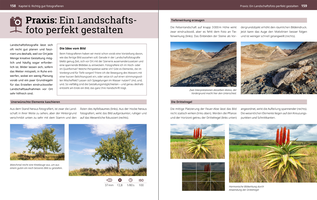 Ausschnitt aus dem Inhalt