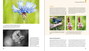 Die besten Produkte - Wählen Sie hier die Makrofotografie buch Ihrer Träume
